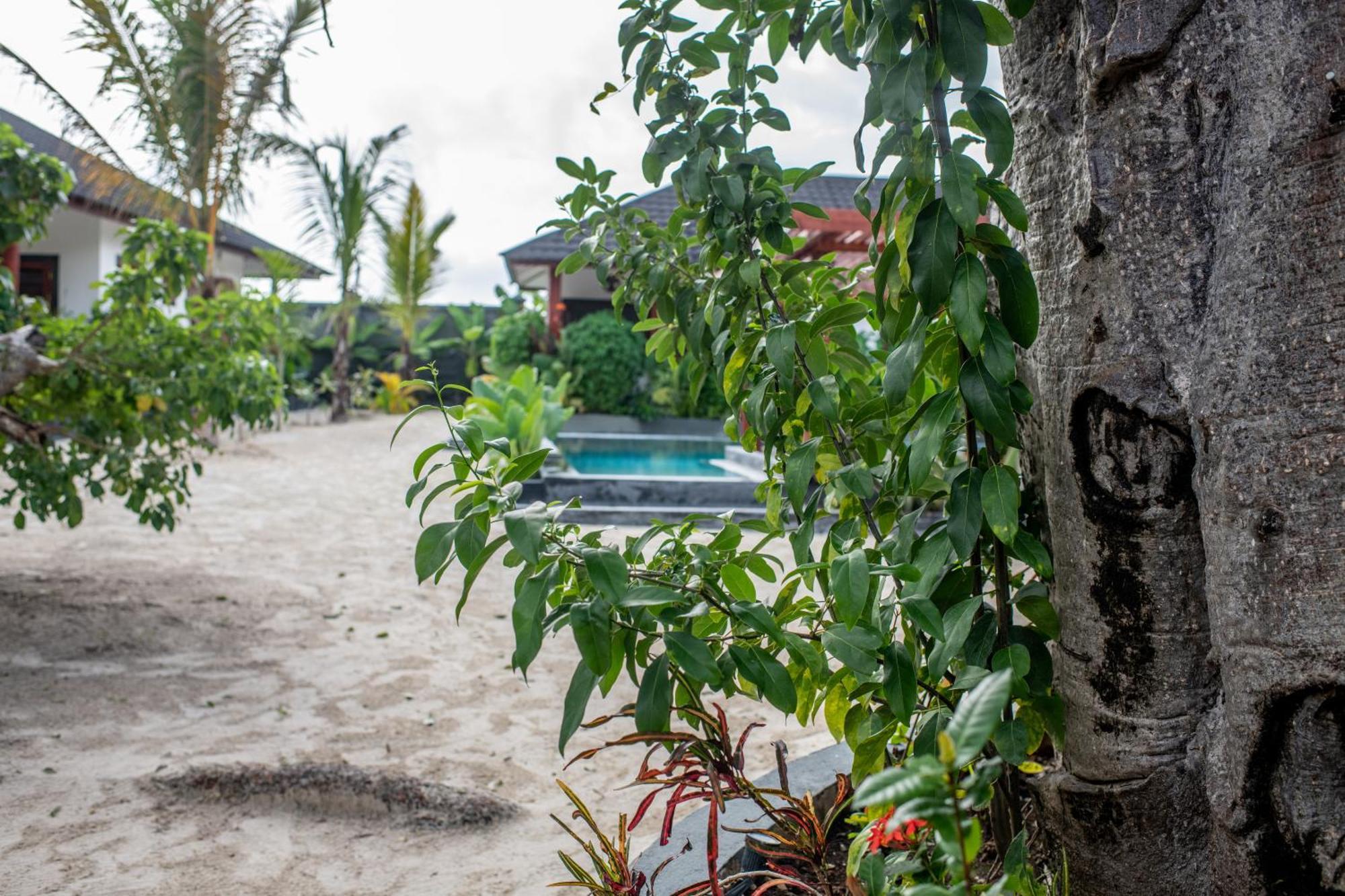 Appartement Baobab Jambiani (Zanzibar)