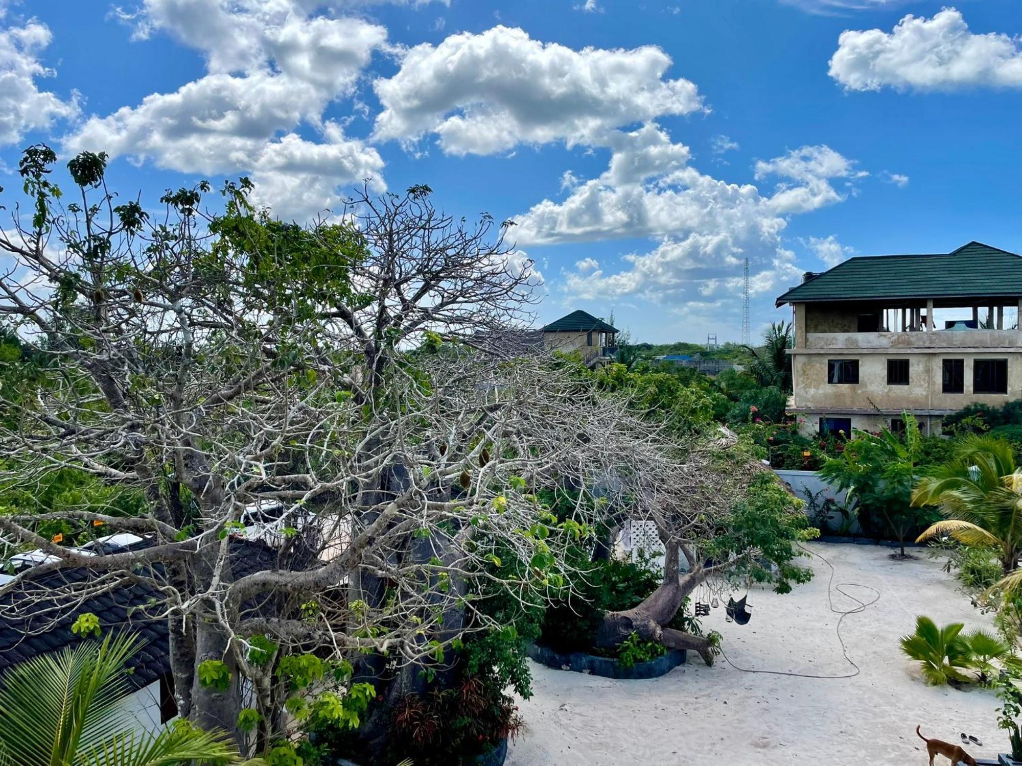 Appartement Baobab