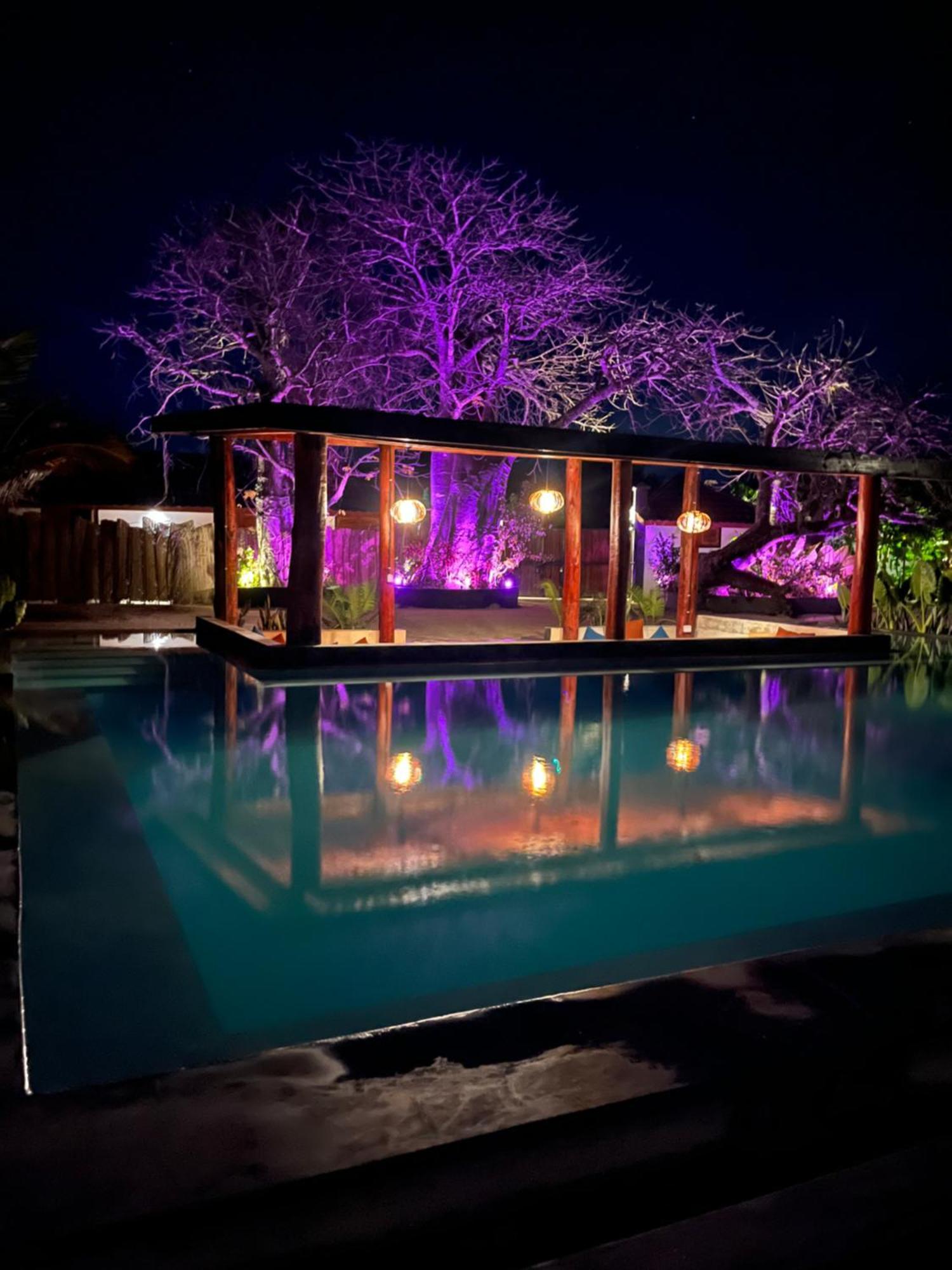 Baobab Jambiani (Zanzibar)